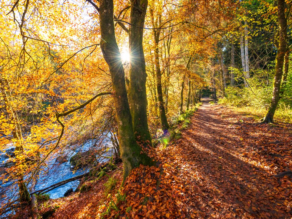 秋天美丽的苏格兰河畔步道
